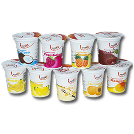 6 Yoplait aromatisés
