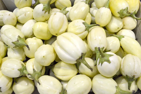 Aubergines-blanc